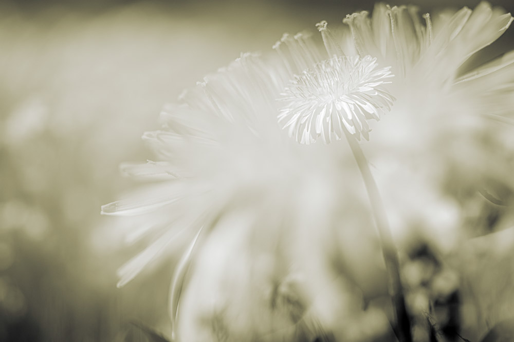 Platz 4 Robert Seitz